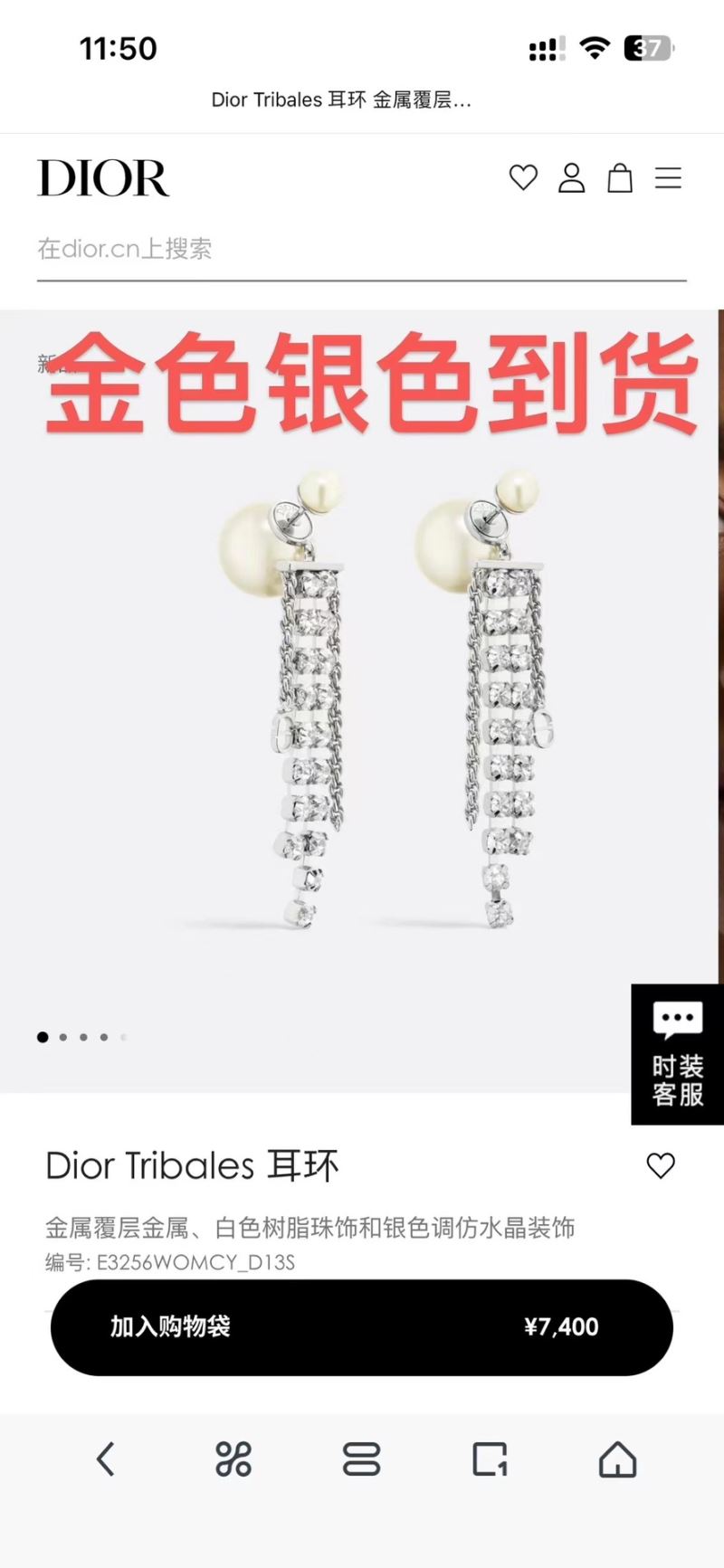 Christian Dior Earrings